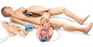 Noelle Educational Birthing Simulator